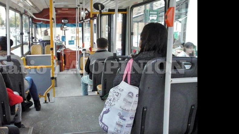 La Nueva Perla solicitó suspender el aumento del boleto de colectivos