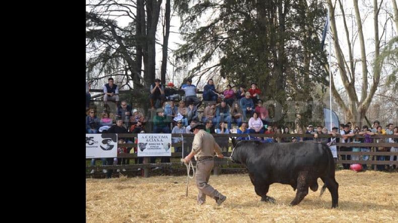 La Expo Rural de Pergamino fue cancelada por el Covid-19