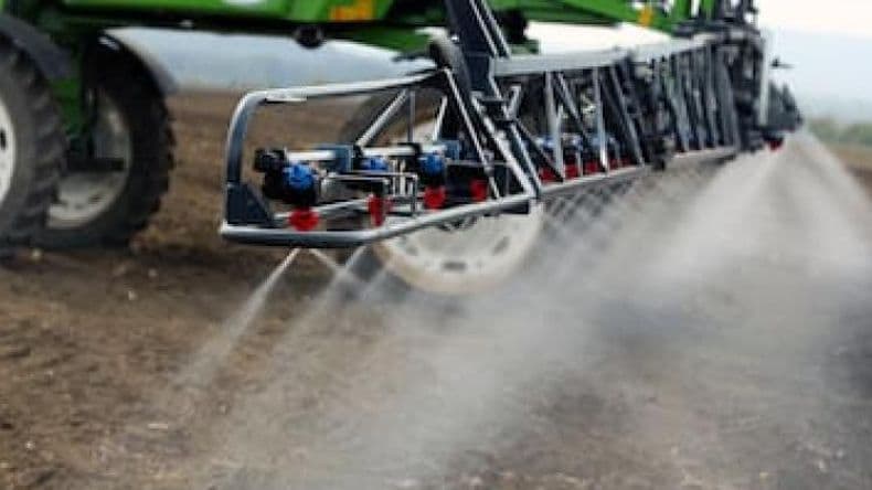 Siembra de maíz: Mejoran las ventas de insumos agrícolas