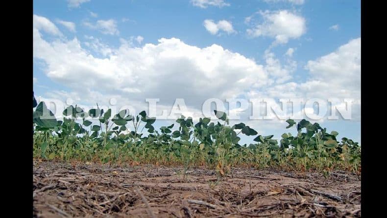 Clima negativo: “El panorama no es alentador”, alertan