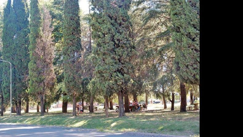 Una pareja de Arrecifes discutió y dejó a su hija en el Parque Municipal