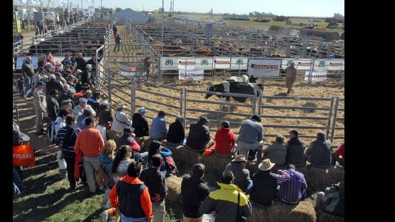 AgroActiva busca sumar a la industria en su espacio lechero