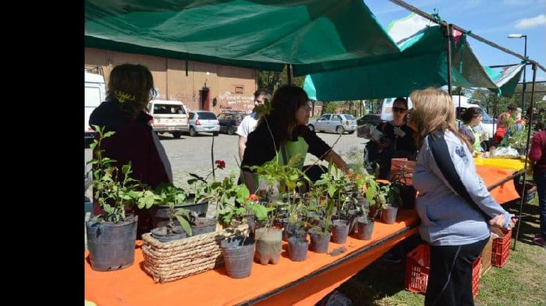 Llega una nueva edición de la Feria Verde Agroecológica