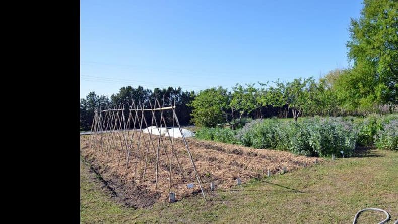 El sábado se realizará la Feria Verde Agroecológica