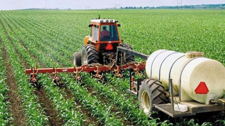 Beneficios de la fertilización balanceada para mejorar los rendimientos