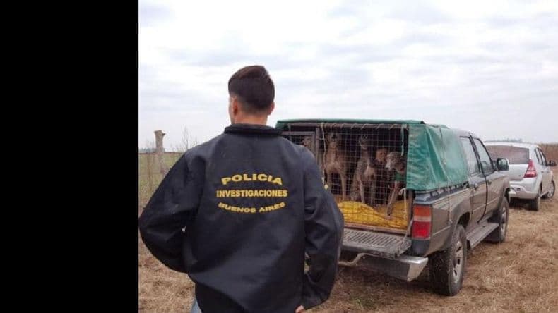 Denunciaron a un funcionario municipal acusado de organizar carreras de galgos