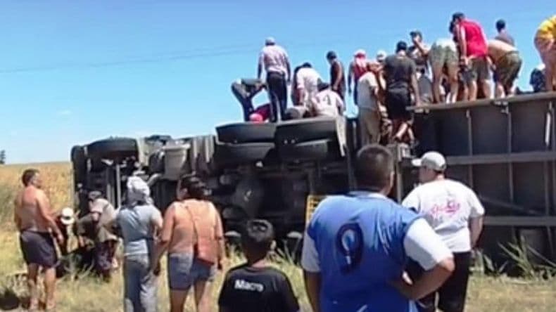 En Arrecifes volcó un camión con vacas lo saquearon y faenaron los animales en la autopista