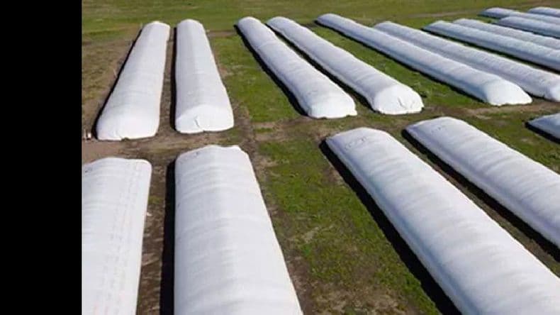 Los chicos de la Granja San Camilo rescatan silobolsas en desuso
