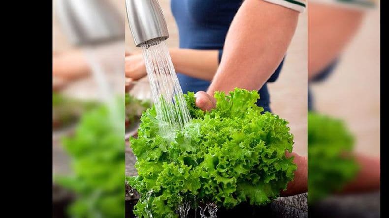 Salud: ¿es posible que el coronavirus se transmita a través de los alimentos?