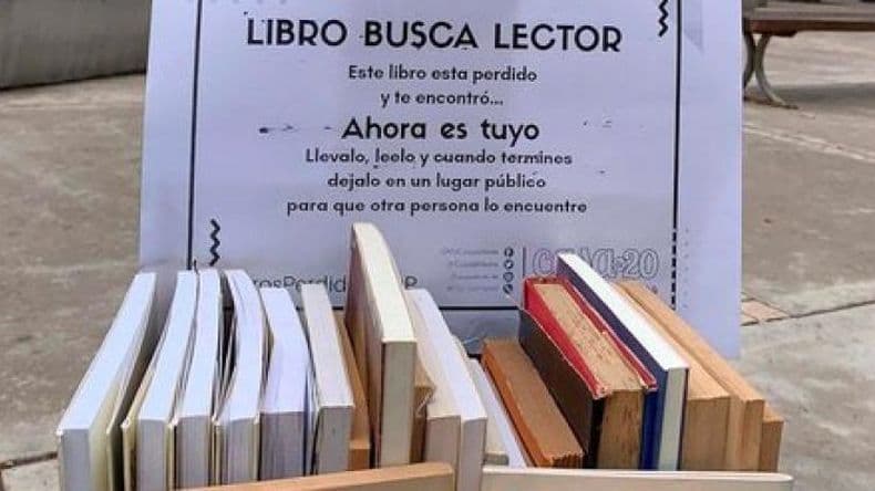 Instan a los ciudadanos a donar libros para la primera Siembra Mundial