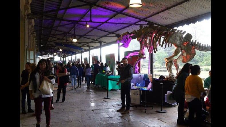 Comenzó la sorprendente mega feria del conocimiento Estación Ciencia