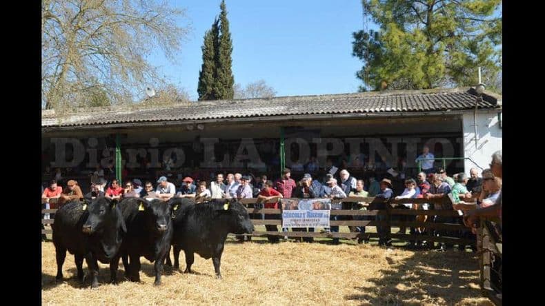 Expo Rural Pergamino: amplia oferta de actividades para toda la familia