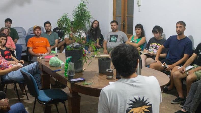 Pergamino será sede de la primera Jornada de Cannabis Terapéutico