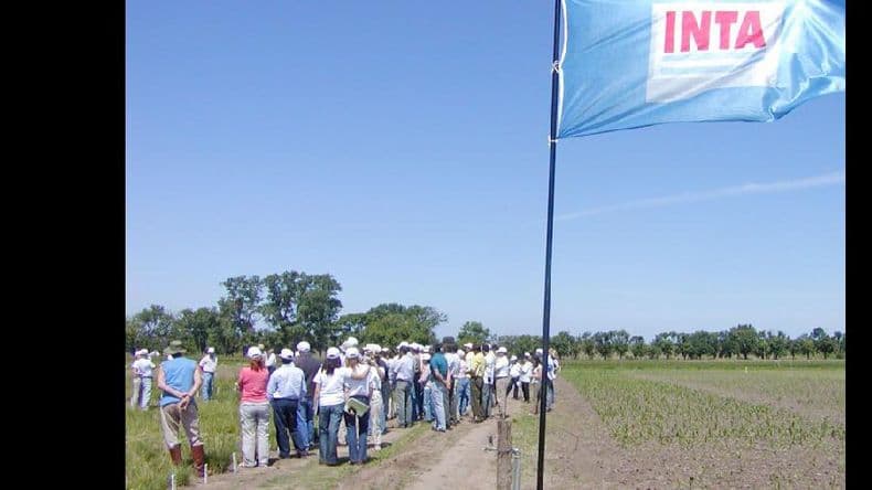 Jornada técnica sobre malezas en el Inta Pergamino