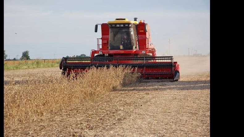 Tregua climática para intensificar las tareas de cosecha del ciclo 2014/2015