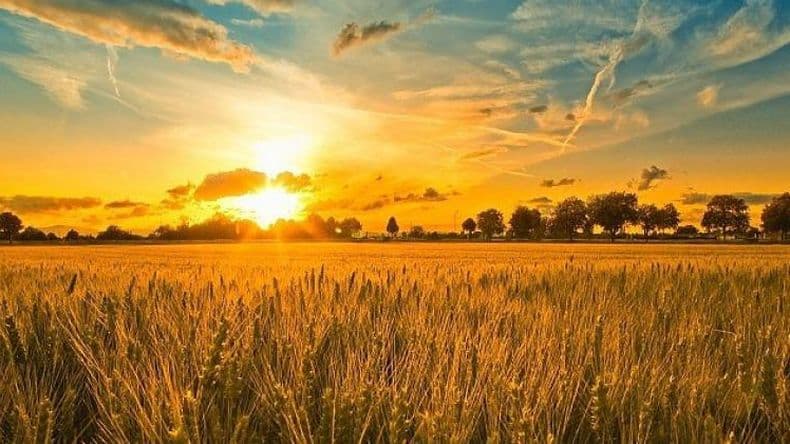 Creciente interés por invertir en campos de la zona núcleo