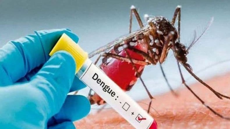 Dengue: la estrategia provincial de descacharrado de invierno llega a Pergamino