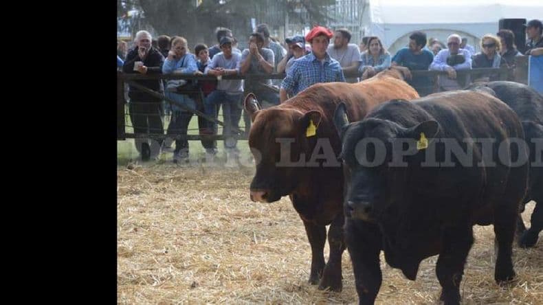 La Exposición Rural de Pergamino llega con propuestas para todas las edades