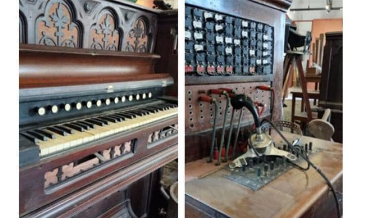 Ya se puede visitar la muestra "Historia de los Museos: gabinete de curiosidades"