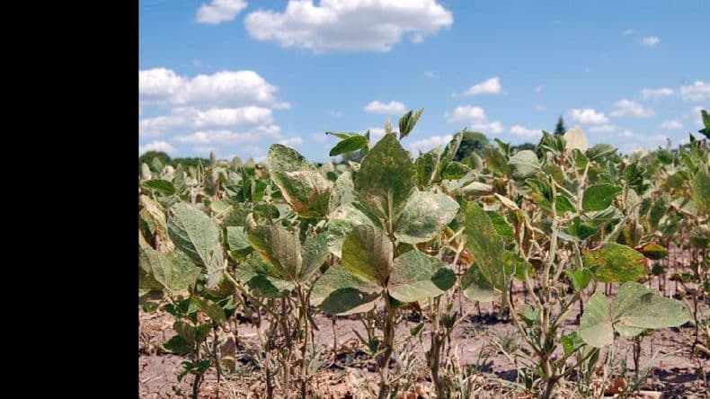 “La Niña” intenta avanzar, “El Niño” se lo impide