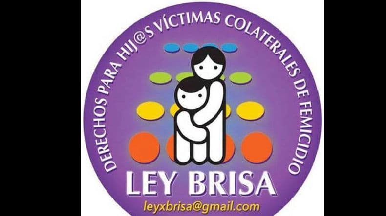 La Defensoría reclama cumplir con la reparación a los hijos de víctimas de femicidio