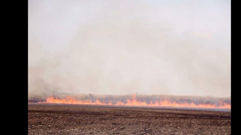 Incendios forestales: Provincia reglamentó la ley de Manejo del Fuego
