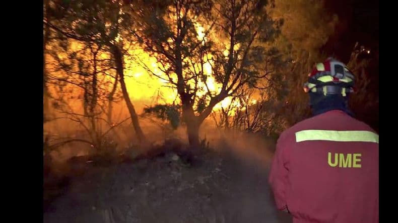 Las temperaturas récords y los incendios agravaron la ola de calor en Europa