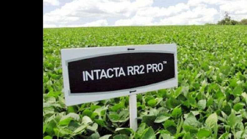 La Federación Agraria reclamó al Gobierno que le impida a Monsanto el cobro de regalías