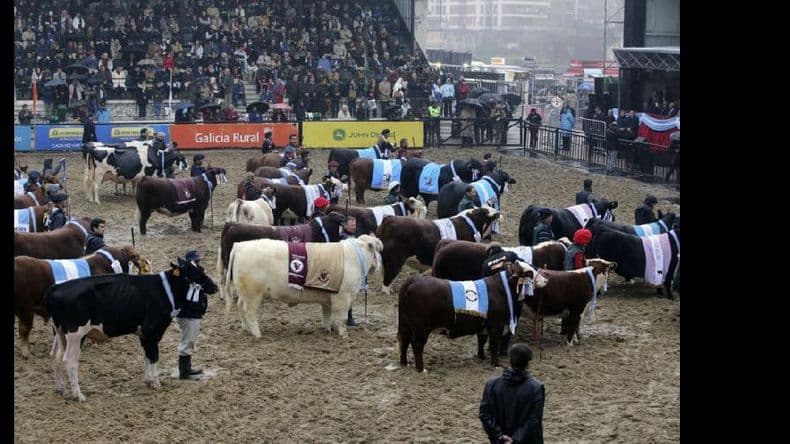 Rural: entusiasmo del campo, bajo la lluvia