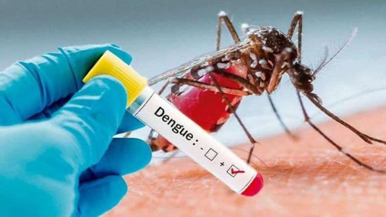 Prevenir el Dengue, un trabajo constante de concientización en los barrios