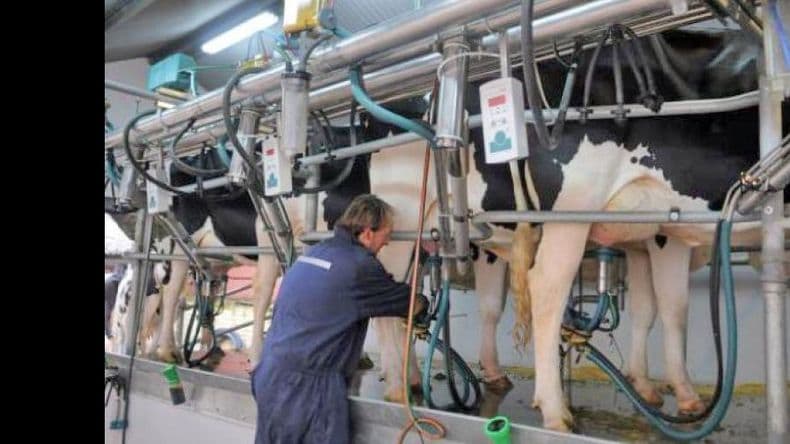 Mejora la participación de tamberos en una canasta de productos lácteos