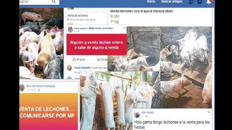 Venta de alimentos por redes sociales, actividad que crece y requiere controles