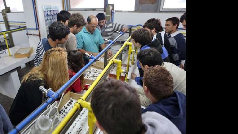 Unnoba: concurso a Becas de Investigación y Transferencia
