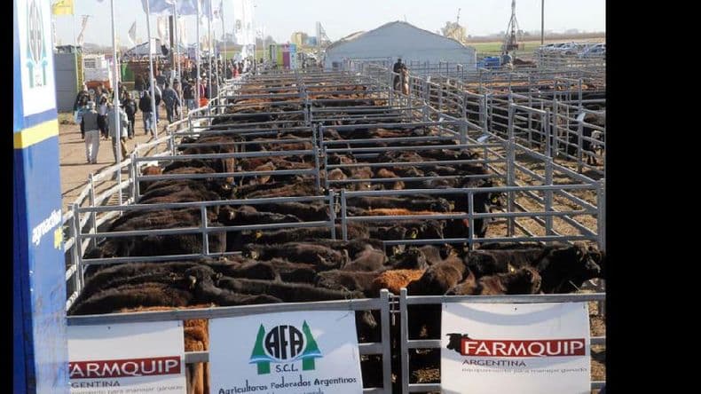 Todas las producciones pecuarias estarán en AgroActiva Ganadera 2016