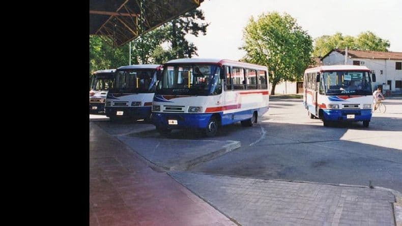La comisión de transporte presentó la nueva línea de colectivos urbanos