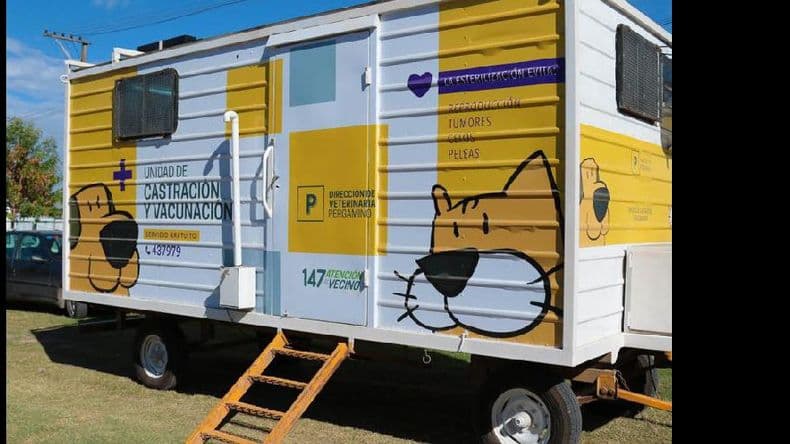 Vacunación antirrábica gratuita: harán otra campaña en la ciudad y los pueblos