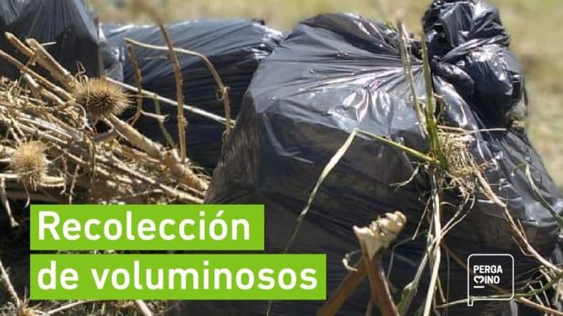 Cronograma de recolección de residuos voluminosos para este mes