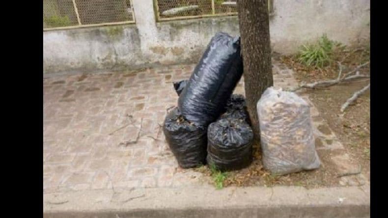El cronograma de recolección de residuos voluminosos para el mes de julio