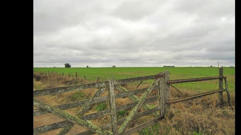 Clima: el fin de semana seguirá con temperaturas bajas