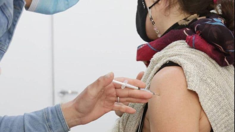 Ponen en marcha una importante campaña contra la Fiebre Hemorrágica Argentina