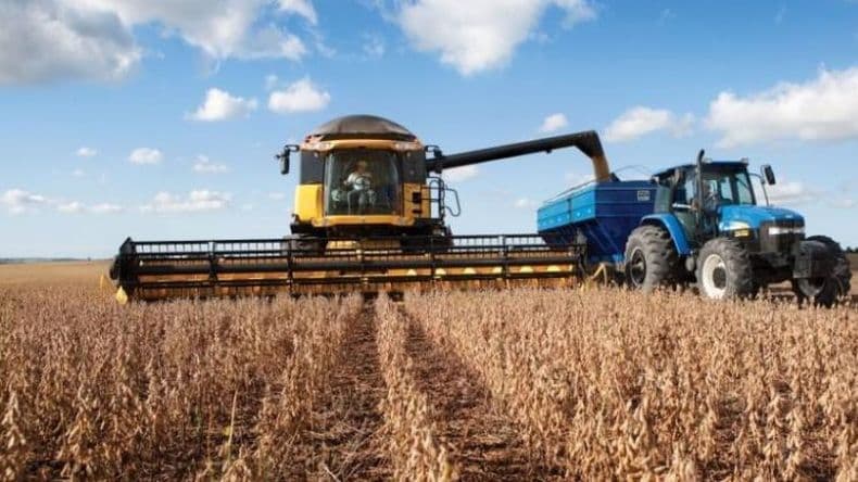 Los márgenes del campo: mejores o peores según cómo se los compare