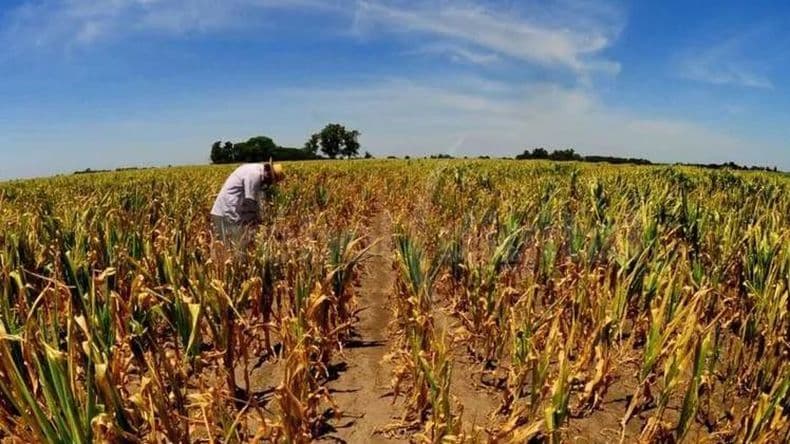"Dejaremos de ser productores y perderemos nuestras chacras" advierten desde la Federación Agraria