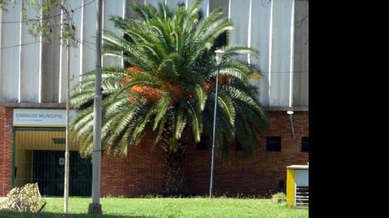 La Asociación de Voleibol realizará este lunes la fiesta de premiación en el Parque
