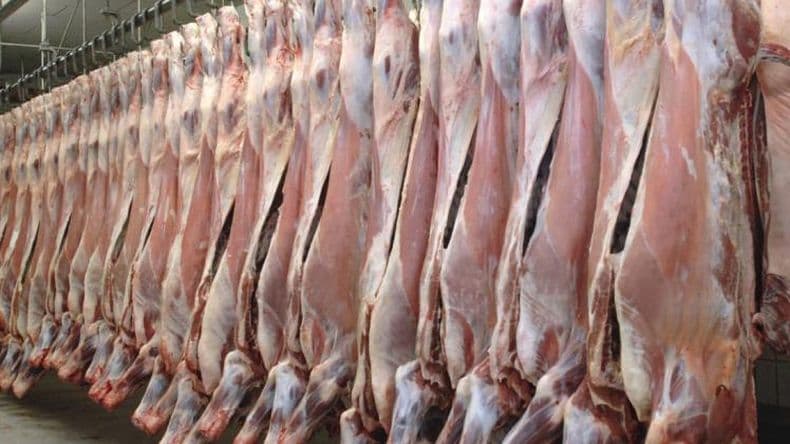 Kulfas dijo que intentará reabrir las exportaciones de carnes antes de los 30 días