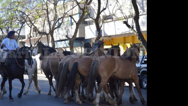 Fiesta de la Tradición: hoy se realiza el desfile por las calles de la ciudad