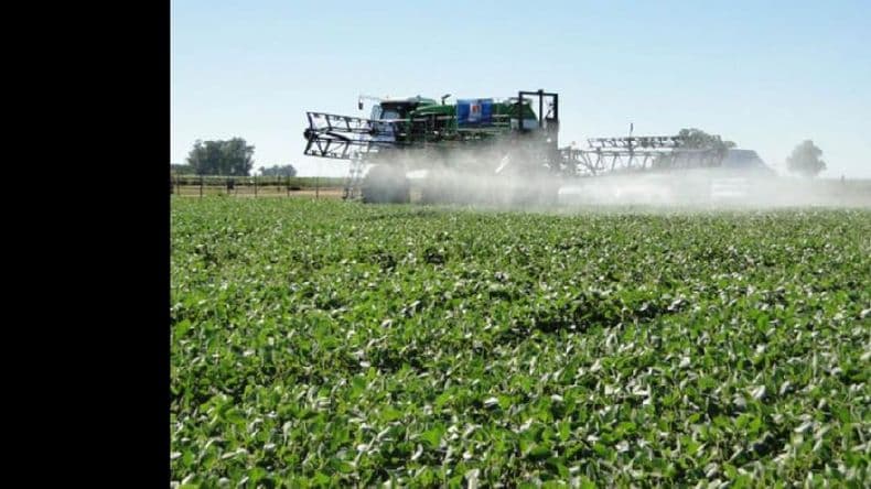 Agroquímicos: crecen los fallos para regular las fumigaciones