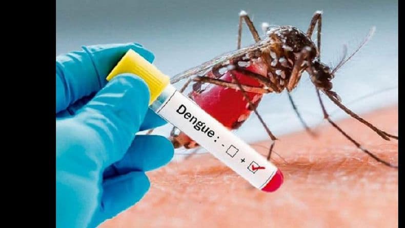 Confirman un caso positivo de dengue importado por una joven desde Paraguay