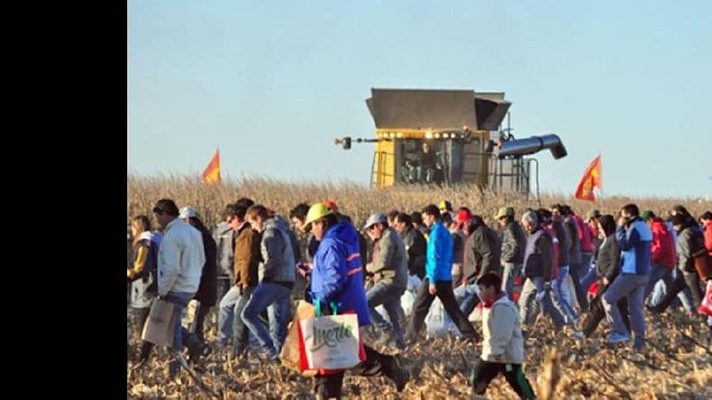 Un cierre multitudinario terminó de coronar AgroActiva en Monje