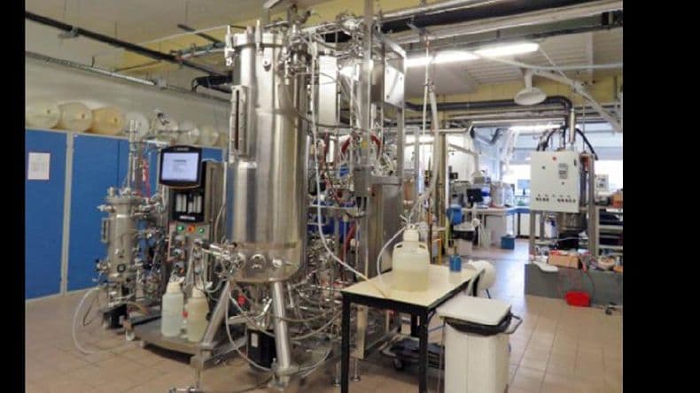 Biorrefinerías: el desafío de generar energía sustentable