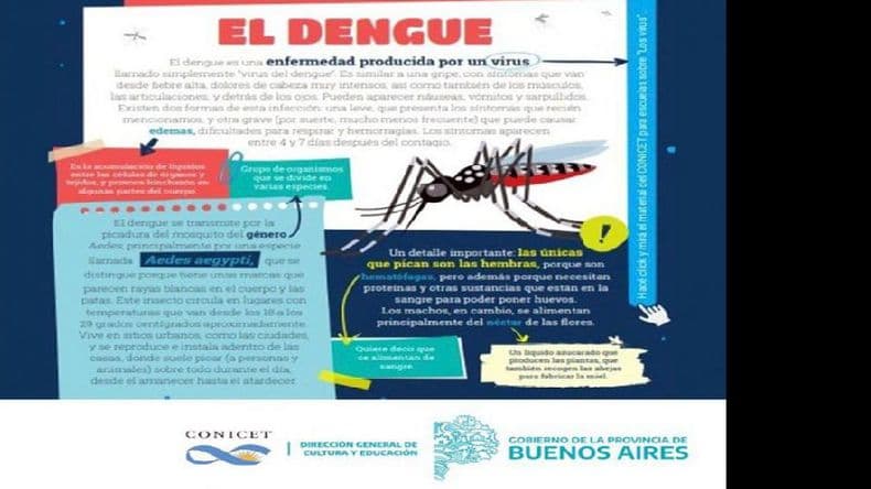 El Conicet desarrolló guías para escuelas acerca del coronavirus, dengue y vacunas